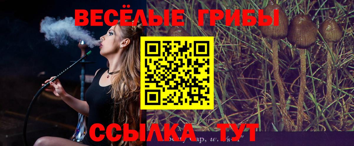 Псилоцибиновые грибы Cubensis Майский
