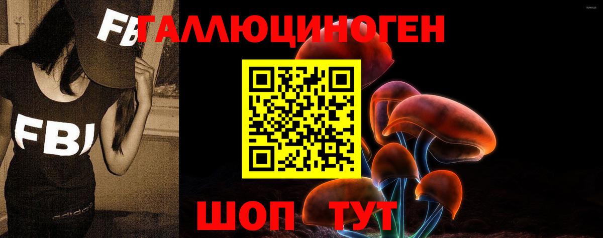 Майский  Галлюциногенные грибы GOLDEN TEACHER  Вход с VPN 